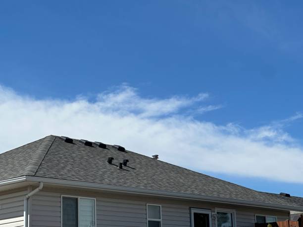 Best Roof Moss and Algae Removal  in Canadian Lakes, MI